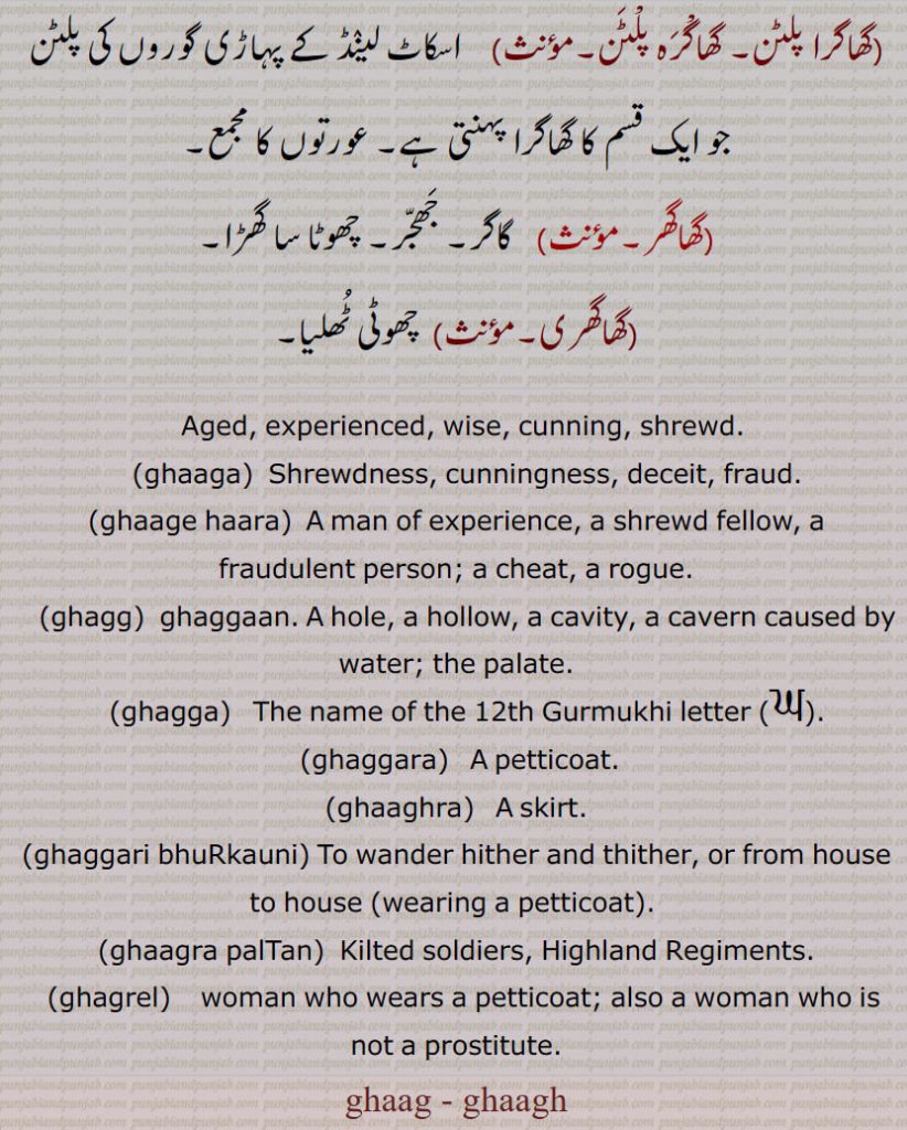   گھاگ,گھاگھ,گھاگا,گھاگے ہارا,گھاگرا, گھاگھرا,گھاگرا پلٹن, گھاگرہ پلٹن,گھاگھر, گاگر,گھاگھری, experienced, wise, cunning, ,ghaaga,  ਘਾਗਾ ,ghaage haara,ghagg,  ਘੱਗ ,ghaggaan,ghagga,  ਘੱਗਾ ,12th Gurmukhi letter,ਘ,ghaggara,  ਘੱਗਰਾ,ghaaghra,  ਘਾਘਰਾ, A skirt,ghaggari bhuRkauni, petticoat,ghaagra palTan,ghagrel,  ਘਗਰੇਲ , ghaag, ghaagh, ਘਾਗ ,ਘਾਘ, 