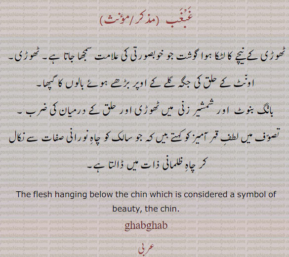  ,غبغب,ghabghab,ਗ਼ਬਗ਼ਬ,flesh hanging below the chin,تھوڑی کے نیچے کا گوشت ۔ اونٹ کے حلق, بانگ بنوٹ , سالک کو چاہ نورانی, تصوف میں لطف قہر آمیز کو, 