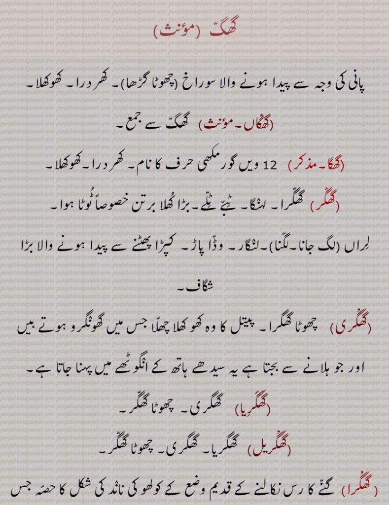    گھگ  ,سوراخ , کھردرا, کھوکھلا,گھگاں,گھگا,گھگر,گھگرا, لہنگا, ,بڑا کھلا برتن خصوصاً ٹوٹا ہوا,شگاف,گھگری, پیتل کا وہ کھو کھلا چھلا جس میں گھونگرو ہوتے ہیں ,گھگرِیا,گھگریل, گھگرا,گھگھر,گھاگھر,  گھگھر,ہکڑا   دریا
, گھگّ  , گھگّاں,گھگا,گھگّر,گھگّرا ,گَھگّری, گَھگََرِیا,گَھگْریل, گَھگّرا,گھگّھر, hole, a hollow, a cavity,hoarse, ghaggaaN, ghagga, ਘ, ghaggar, ghaghra,, ghaggri, ghaggriya, ghaggrel, Ghaggra, ghaggar, Ghaggar-Hakra as a river system, ghagg, ਘੱਗ, ਘੱਗਾ, ਘੱਗਾਂ, ਘੱਗਰਾ, ਘਾਗਰੀ, ਘਾਘਰਾ,  ਘਾਗਰਾ, ਘਗਰੇਲ