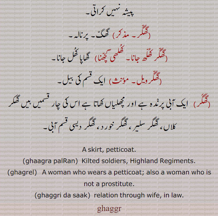  گھگری,گھگر, ghagar, ਘੱਗਰ, gagar, gaghar, ghaggr, ghagrel, ਘਗਰੇਲ, ghaagra, ਘਾਗਰਾ,گھگر,گھگری ,گھگرا شاہی ,گھگری بھڑکانا ,گھگری گھت بہنا,گھگری دا ساک,گھگریل,گھگرویل,گھگر کھلھ جانا, کھلھی گچھنا, , 