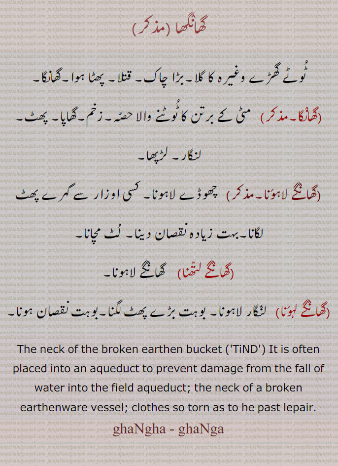   گھانگھا,گھانگا,ghangha , ghanga, ਘਾਂਗਾ, The neck of the broken earthen bucket (tind.) It is often placed into an aqueduct to prevent damage from the fall of water into the field aqueduct.,گھانگے لاہونا, چھوڈے لاہونا, لٹ مچانا,گھانگے لتھنا,گھانے لہونا, ٹوٹے گھڑے کا گلا۔ بڑا چاک۔ قتلا۔ پھٹا ہوا گھانگا۔مٹی کے برتن کا ٹوٹنے ولا حصہ۔ زخم۔ گھاپا۔ پھٹ۔ لنگار۔ لڑپھا۔ چھوڈے لاہونا۔ اوزار سے گہرے زخم لگانا۔ نقصان دینا۔ لٹ مچانا۔ گھانگے لاہونا۔گھانگے لہونا۔ لنگار لاہونا۔ بہت زخم پھٹ لگنا۔  