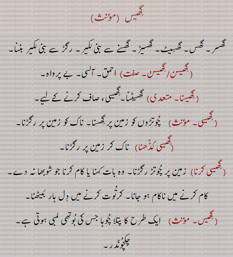  ghees ,گھیس,, گھیسن,  گھیسنا,  گھیسی, گھیسی کڈّھنا, گھیسی کرنا, گھیس, گھیس مار, گھیس کرنی, گھیس چاڑھنی ,  ,ਘੀਸ, gheessi, gheesi,  ਘੀੱਸੀ , ਘੀਸੀ, gheesi karni, ਘੀਸੀ ਕਰਨੀ, gheesan, ਘੀਸਣ, mammoth rat, mole, scalopus aquaticus; bandicoot.,پتلا چوہا جس کی بوتھی لمبی ہوتی ہے۔ چکچوندر,chhachhundar، چھچھوندر
