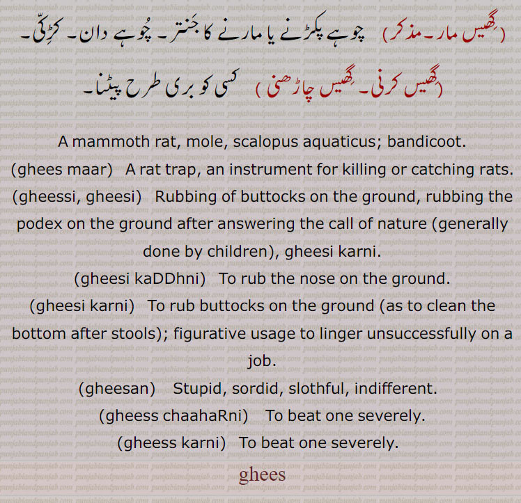   ghees ,گھیس,, گھیسن,  گھیسنا,  گھیسی, گھیسی کڈّھنا, گھیسی کرنا, گھیس, گھیس مار, گھیس کرنی, گھیس چاڑھنی ,  ,ਘੀਸ, gheessi, gheesi,  ਘੀੱਸੀ , ਘੀਸੀ, gheesi karni, ਘੀਸੀ ਕਰਨੀ, gheesan, ਘੀਸਣ, mammoth rat, mole, scalopus aquaticus; bandicoot.,پتلا چوہا جس کی بوتھی لمبی ہوتی ہے۔ چکچوندر,chhachhundar، چھچھوندر