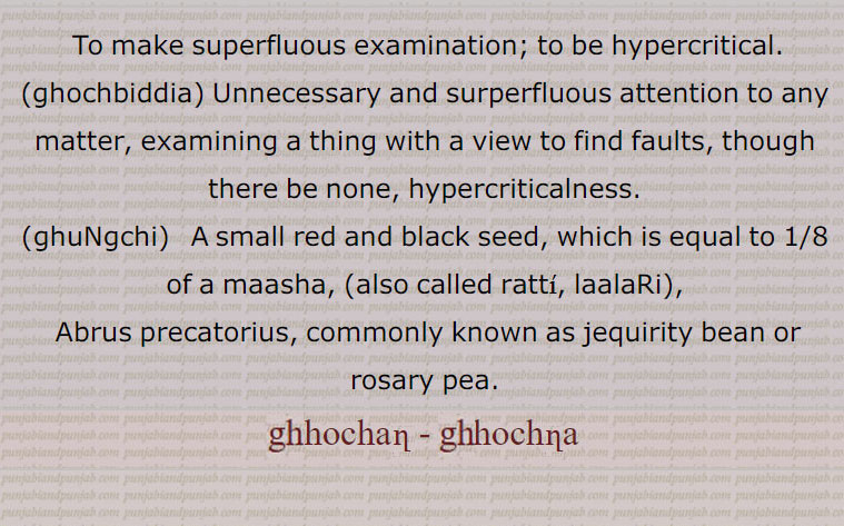   گھوچن, گھوچنا ,گھوچ,  نگھوچ,گوچ بدیا,گھوچ ودیا,گھوچاں گھوچنا,گھوچنا,گھوچنا گھوچنا,گھوچاں گھوچیا,گھوچر,گھوچری,گھوچل,گھوچلی,گھوچو,گھوچی,گھوچی, گُھنگچی,لالڑی, رتی,رتّی,رتی ,ਰੱਤੀ ,گُھنگچی دا تیل,ghochna, ghochan, ghhochna, ghhochan, ਘੋਚਣਾ,ghochbiddia.  ਘੋਚਬਿੱਦਿਆ ,ghochi,ghoochi, ghoochoo, Abrus precatorius,  jequirity bean , rosary pea, ghungchi,  ਘੁੰਗਚੀ,رتّی,رتی ,ਰੱਤੀ ,