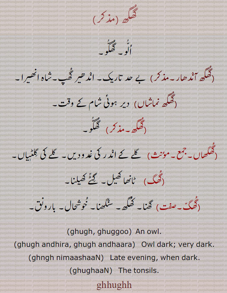   گھگھ,ghugh,ghhughh ,ਘੁਘ, گھگھ,ghugh , Owl ,ਘੁਘ, animal,جانور ,  ghughaaN,گھگھاں,گھگھ نماشاں, گھگھ آنٛدھار,,گھگ ,