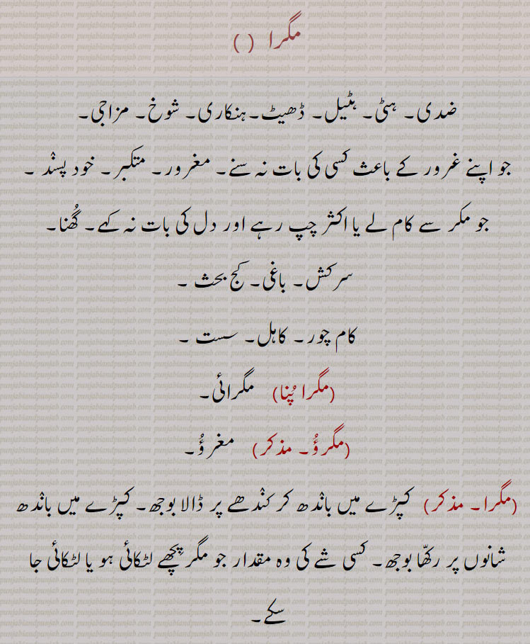  ,مگرا پُنا,مگرؤُ,مگرا,مگرا پَٹّھے,مگراں,مگرا ,magra  , ਮਗਰਾ,  magraai , ਮਗਰਾਈ,  ,magraaN,  ਮਗਰਾਂ, , ڈھیٹ , proud,