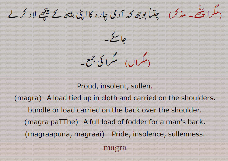  ,مگرا پُنا,مگرؤُ,مگرا,مگرا پَٹّھے,مگراں,مگرا ,magra  , ਮਗਰਾ,  magraai , ਮਗਰਾਈ,  ,magraaN,  ਮਗਰਾਂ, , ڈھیٹ , proud,