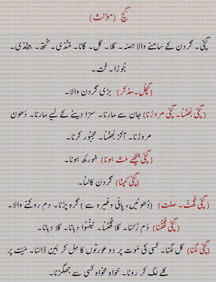 گچ,گچ,گچی لہاؤنا,گچی نوں آنا, گچ پچ،گچگِچا,گچنا, گچ ,گچ,گچل,گچی بھننا, گچی مروڑنا,گچی پچھے مت ہونا,گچی کپنا, گچی گھٹ, گچی گھٹنا,گچی لگنا 
gich, gicha, gichchi, front part of the neck, throat,  gachchal, ਗਿਚਲ, ਗਿੱਚ, ਗਿਚ, ਗਿੱਚੀ,  