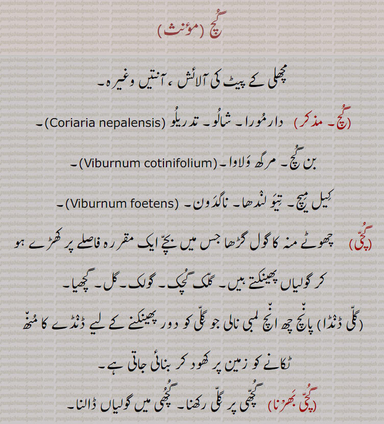    ,گچکی,گُچ, ,گچ, گچی, گچی بھرنا , گچ,گچی، گچی بھرنا، گچی پالا،گچیانا،گچو پارا کھیلنا،ڈالنا ,  fish stomach impurities, small pit, guch,guchi,gucho,guchu,guchki,guchiyaana,ਗੁਚ, ਗੁਚੀ, ਗੁੱਚੀ