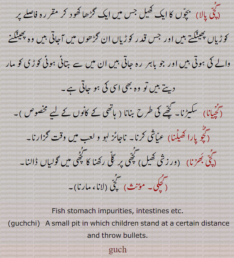   ,گچکی,گُچ, ,گچ, گچی, گچی بھرنا , گچ,گچی، گچی بھرنا، گچی پالا،گچیانا،گچو پارا کھیلنا،ڈالنا ,  fish stomach impurities, small pit, guch,guchi,gucho,guchu,guchki,guchiyaana,ਗੁਚ, ਗੁਚੀ, ਗੁੱਚੀ