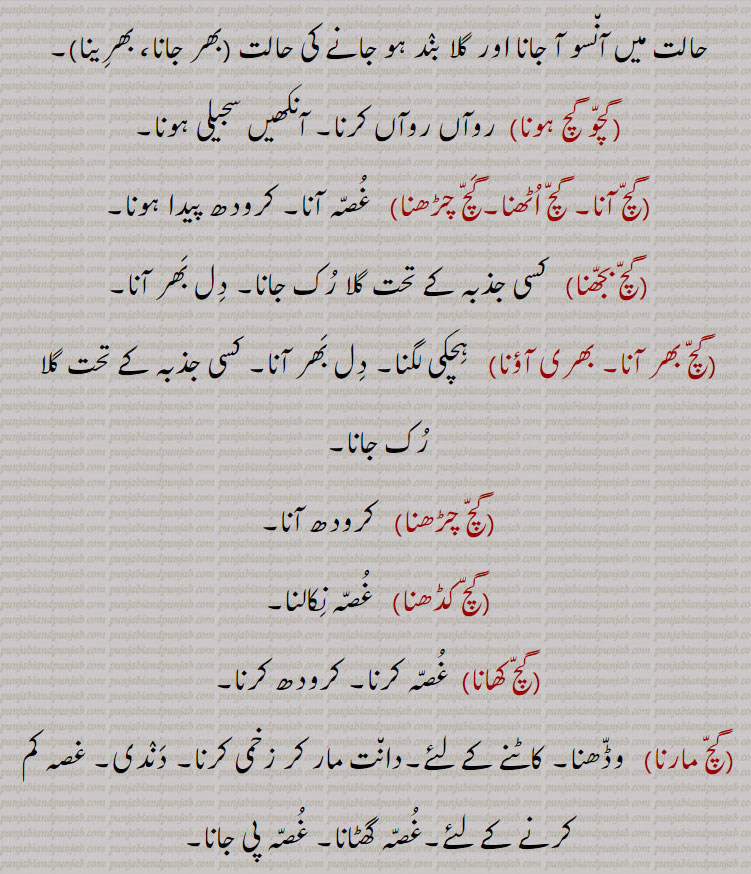  ,gach, gachch ,ਗੱਚ  ,gachchal, ਗੱਚਲ, gachch chaRhna,gachch hona,gachch karna, launa,gachch maarna,gachch pachch,gachchal,gach mach,gach mach thiwana, gicha,cement mortar made with lime, plaster, old mortar, mud, wrath, to be drunk, to insist, to bite, crowded, thick, 
، گچ,گچ ہونا,گچل,گچ مچ,گچا گچ, ،گچ مچ تھونا,گچمچ تھینا,گچنا,گچ پچ,گچ ماچ,گچگیری,گچ کھچ,گچگیری,گچ کار،گچ,گچکرن, گچاپیچ, گچ ،گچ,گچ کرنا, گچا گچ, گچی, گچک, گچل, ،"گچو گچ,گچ آنا,گچ اٹھنا, گچ چڑھنا, گچ بجھنا,گچ بھر آنا,بھری آؤنا,گچ کڈھنا,گچ کھانا,گچ مارنا  ،گچ,گچل, گچل خوردہ,  گچ,  
