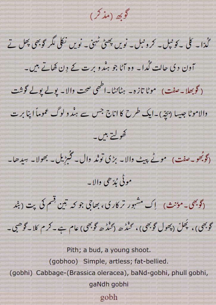     گوبھ,  گوبھلا, گوبھو, گوبھی, ترکاری, بھاجی,بند گوبھی, پھول گوبھی,گنڈھ گوبھی,کرم کلا,گوھبی, ,گوبھی , gobh ,ਗੋਭ , gobhoo,  ਗੋਭੂ , gobhi,  ਗੋਭੀ , gohbí, ਗੋਹਬੀ ,