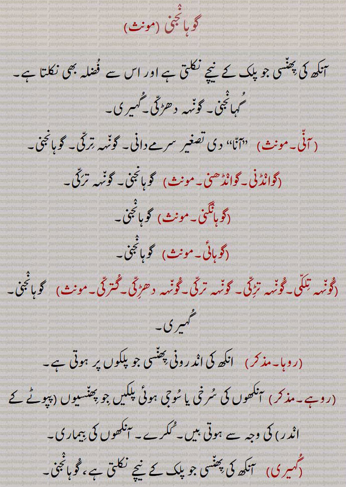   گوہانجنی,آنکھ کی پھنسی, گہانجنی, گونہہ دھڑکی,گہیری, آنی, گونہہ ترکی,گوانڈنی,گوانڈھنی,گوہانگنی,گوہائی,گونہہ تلکی,گونہہ تڑکی ,گونہہ دھڑکی,گترکی,روہا,روہے, آنکھوں کی بیماری,گہیری, A sty in the eye, guhaaNDani, ਗੁਹਾਂਡਣੀ,guhaaNDhani,  ਗੁਹਾਂਢਣੀ,guhaaNjhani,   ਗੁਹਾਂਝਣੀ,rohe, ਰੋਹੇ,گوہانجنی  ,gohaaNjni, ਗੁਹਾਂਜਣੀ, 