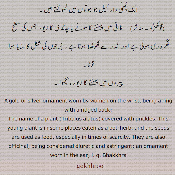  گوکھڑو,گوکھرو,gokhroo,ਗੋਖਰੂ,Tribulus alatus,Traditional Ornaments of Punjab,Jewellery,jewelry,زیور, ,گہنا,بُھوکھن,النکار,ٹُوم,ٹومب,ٹونب چھلا,,Traditional Ornaments of Punjab,Jewellery,jewelry,zaiwar,زیور, ,گہنا,بُھوکھن,النکار,ٹُوم,ٹومب,ٹونب چھلا, 