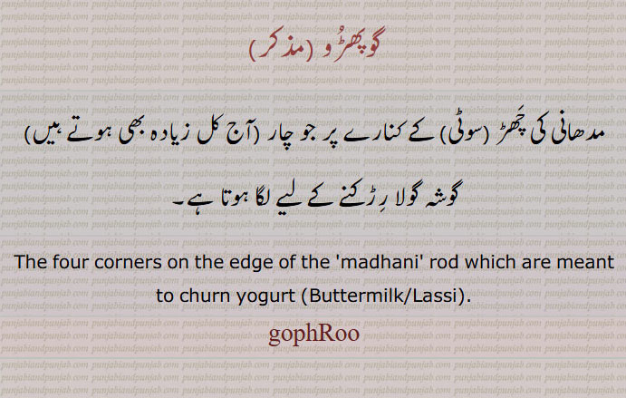    گوپھڑو, gophRoo , ਗੋਫੜੂ ,مدھانی کی چھڑ, گوشہ گولا رڑکنے کے لیے, meant to churn yogurt