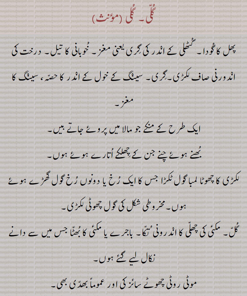 
گلی, گلی ,پھل کا گودا,گٹھلی کے اندر کی گری یعنی مغز, خوبانی کا تیل, درخت کی اندورنی صاف لکڑی,گری,سینگ کے خول کے اندر کا حصہ، سینگ کا مغز,ایک طرح کے منکے جو مالا میں پروئے جاتے ہیں, بھنے ہوئے چنے جن کے چھلکے اتارے ہوئے ہوں,  گول چھوٹی لکڑی, مکئی  کا ,  تکا, باجرے یا مکئی کا بھٹا جس میں سے دانے نکال لیے گئے ہوں, 
 لکڑی کا چھوٹا سا ہموار کیا ہوا ٹکڑا جس کے دونوں سرے نکیلے بنائے جاتے ہیں, کھیلنے کے لیے دونوں طرف سے گھڑی ہوئی لکڑی جو آدھی بالشت لمبی ہوتی ہے, گلی، ایتی, چھیل اتار کر اندر سے صاف نکالی ہوئی لہسن (تھوم) کی پوتھی,
روٹی وغیرہ کا جب باہر سے چھلکا اتار دیا جائے, سونے کی رینی, دھات کا ٹکڑا, تانبے، چاندی یا سونے کی سلاخ یا چھڑ نیز تیار کیا ہوا کندلا, ایک قسم کی مینا, گنے کی پوری یا پوئی,گنے سے سمے کاٹتے وقت کچھ ٹکڑے بغیر گانٹھ کے جو بچ جائیں (بچے ان کو گنڈیریوں کی طرح شوق سے چوستے ہیں), چکی کے اوپر کے پاٹ کے سوراخ کے بیچ میں آڑا لگا ہوا لکڑی کا گٹکا جس کے بیچ میں ایک سوراخ ہوتا ہے جس میں  نیچے کے باٹ کی کیلی رہتی ہے، مانی, چھتہ  جس میں شہد ہوتا ہے، موم کا ٹکڑا,
 کوئی گول چھوٹی چیز, ڈھیلا, چیچک, کیوڑے کا پھول, گھوڑے کی دم کی ہڈی, ایک آلہ جس سے تلوار وغیرہ کا زنگ دور کرتے ہیں, gull, A corn cob,cotton cleansed from the particles of the leaves, a good position of gulli used by boys in playing, also flowers and DoDi of tobacco, a small ear of Indian corn with little grains, gulli, A small ear of Indian corn with little or no grains, iTi,  A small block used in playing, gulli DaNDDa,  gulli , guli , ਗੁੱਲੀ , ਗੁਲੀ
