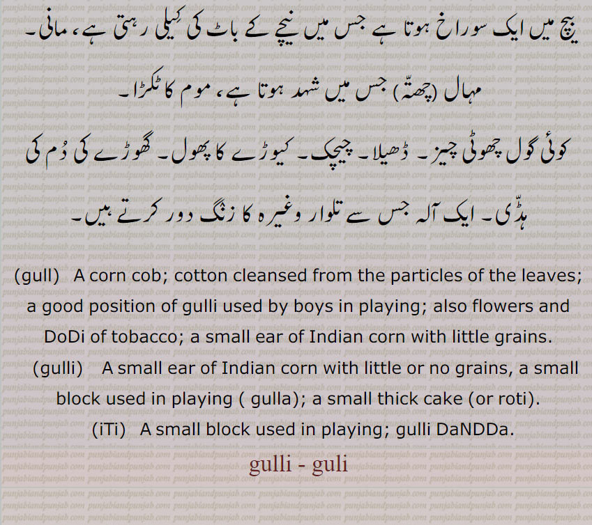 
گلی, گلی ,پھل کا گودا,گٹھلی کے اندر کی گری یعنی مغز, خوبانی کا تیل, درخت کی اندورنی صاف لکڑی,گری,سینگ کے خول کے اندر کا حصہ، سینگ کا مغز,ایک طرح کے منکے جو مالا میں پروئے جاتے ہیں, بھنے ہوئے چنے جن کے چھلکے اتارے ہوئے ہوں,  گول چھوٹی لکڑی, مکئی  کا ,  تکا, باجرے یا مکئی کا بھٹا جس میں سے دانے نکال لیے گئے ہوں, 
 لکڑی کا چھوٹا سا ہموار کیا ہوا ٹکڑا جس کے دونوں سرے نکیلے بنائے جاتے ہیں, کھیلنے کے لیے دونوں طرف سے گھڑی ہوئی لکڑی جو آدھی بالشت لمبی ہوتی ہے, گلی، ایتی, چھیل اتار کر اندر سے صاف نکالی ہوئی لہسن (تھوم) کی پوتھی,
روٹی وغیرہ کا جب باہر سے چھلکا اتار دیا جائے, سونے کی رینی, دھات کا ٹکڑا, تانبے، چاندی یا سونے کی سلاخ یا چھڑ نیز تیار کیا ہوا کندلا, ایک قسم کی مینا, گنے کی پوری یا پوئی,گنے سے سمے کاٹتے وقت کچھ ٹکڑے بغیر گانٹھ کے جو بچ جائیں (بچے ان کو گنڈیریوں کی طرح شوق سے چوستے ہیں), چکی کے اوپر کے پاٹ کے سوراخ کے بیچ میں آڑا لگا ہوا لکڑی کا گٹکا جس کے بیچ میں ایک سوراخ ہوتا ہے جس میں  نیچے کے باٹ کی کیلی رہتی ہے، مانی, چھتہ  جس میں شہد ہوتا ہے، موم کا ٹکڑا,
 کوئی گول چھوٹی چیز, ڈھیلا, چیچک, کیوڑے کا پھول, گھوڑے کی دم کی ہڈی, ایک آلہ جس سے تلوار وغیرہ کا زنگ دور کرتے ہیں, gull, A corn cob,cotton cleansed from the particles of the leaves, a good position of gulli used by boys in playing, also flowers and DoDi of tobacco, a small ear of Indian corn with little grains, gulli, A small ear of Indian corn with little or no grains, iTi,  A small block used in playing, gulli DaNDDa,  gulli , guli , ਗੁੱਲੀ , ਗੁਲੀ
