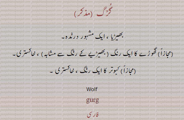  گرگ , بھیڑیا ، ایک مشہور درندہ,  گھوڑے کا ایک رنگ  ، خاکستری,  کبوتر کا ایک رنگ ، خاکستری , Wolf , gurg, ਗੁਰਗ 