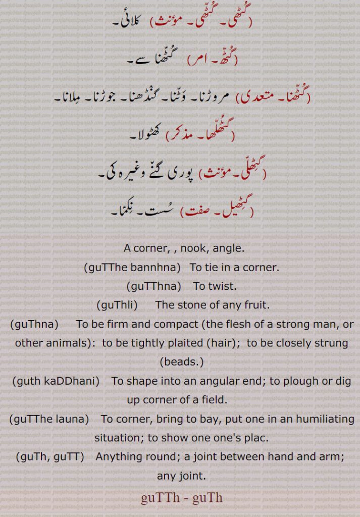   گٹھا, گٹھان, گٹھانا, گٹھائی, گٹھی, گٹًھا, گٹھالی, گٹھڑا, گٹھل, گٹھلی, گٹھلا, گٹھ, گٹھی, گٹھ, گٹھنا, گٹھلھا, گٹِھلی, گٹِھیل, گٹھے بنھنا, گٹھ کڈھنی, گٹھے لاؤنا,, gutth, ਗੁੱਠ, gutthe launa, ਗੁੱਠੇ ਲਾਉਣਾ, guth kaDDhani, ਗੁੱਠ ਕੱਢਣੀ, guthna, ਗੁਥਣਾ, guthli, ਗੁਠਲੀ, gutthna, ਗੁੱਠਣਾ, guth, gutt,  ਗੁੱਟ,,  