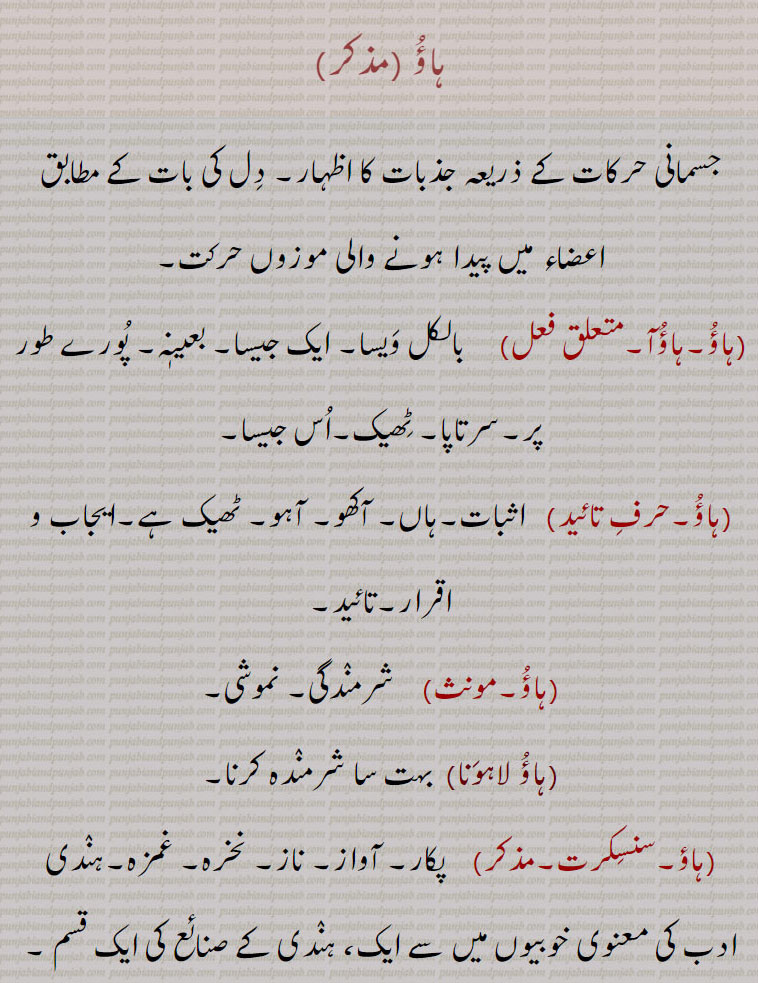    ہاؤ,ہاؤآ , ایک جیسا,  شرمندگی,ہاؤ لاہونا, ہاوبھاو,ہو,خیالی خوف, بچوں کو ڈرانے کا کاغذی چہرہ , ہوا,بچوں کو ڈرانے کا فرضی نام,ہاؤ کرنا,ہاؤ ہاؤ, ,ہاؤ ہاؤ پینا,ہاؤ ہاؤ رہنا,ہاؤ ہو,ہاؤ ہو کرنا,ہاہو,ہاوا, غم ,چنتا,ہاؤ ,  haaoo, ਹਾਊ , ਹਾਓ, haoo, haoo,hau, ਹੌ,haoo, haua, ਹਊ, ਹਊਆ, haoo ber, haoo bhaoo,haua , ਹਊਆ,hav bhaw, ਹਾਵ, ਭਾਵ, hawa, ਹਾਵਾ, haahoo, haau,