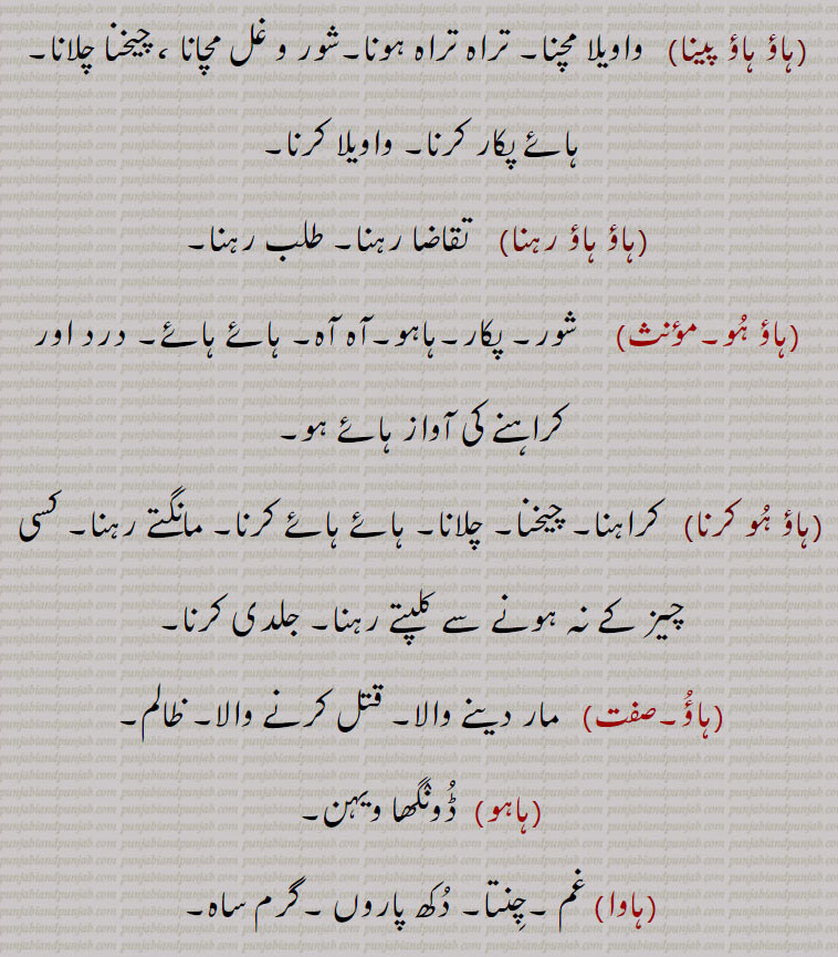    ہاؤ,ہاؤآ , ایک جیسا,  شرمندگی,ہاؤ لاہونا, ہاوبھاو,ہو,خیالی خوف, بچوں کو ڈرانے کا کاغذی چہرہ , ہوا,بچوں کو ڈرانے کا فرضی نام,ہاؤ کرنا,ہاؤ ہاؤ, ,ہاؤ ہاؤ پینا,ہاؤ ہاؤ رہنا,ہاؤ ہو,ہاؤ ہو کرنا,ہاہو,ہاوا, غم ,چنتا,ہاؤ ,  haaoo, ਹਾਊ , ਹਾਓ, haoo, haoo,hau, ਹੌ,haoo, haua, ਹਊ, ਹਊਆ, haoo ber, haoo bhaoo,haua , ਹਊਆ,hav bhaw, ਹਾਵ, ਭਾਵ, hawa, ਹਾਵਾ, haahoo, haau,
