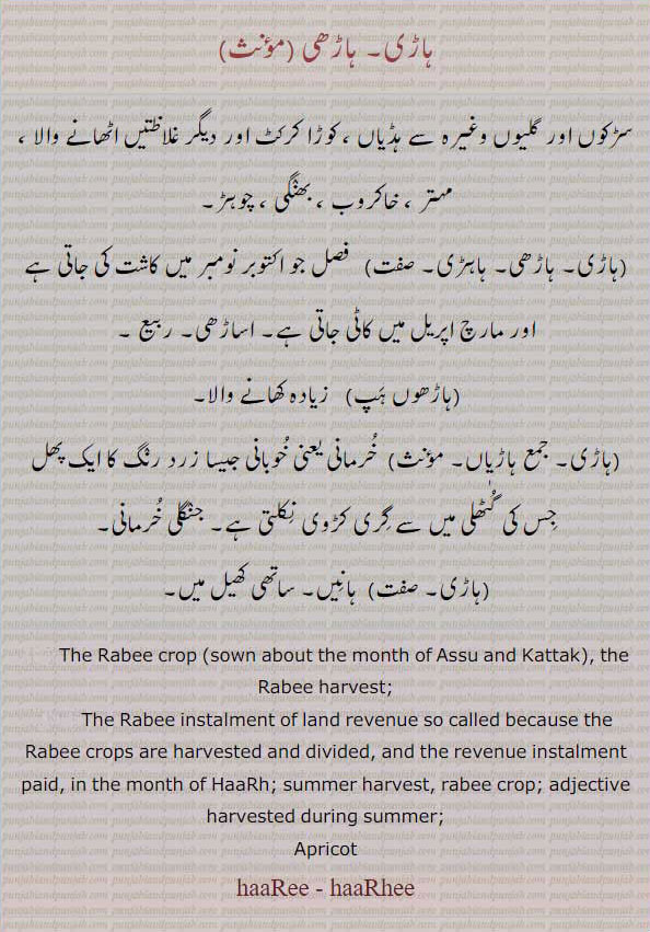 ਹਾਡ਼ੀ, ਹਾੜੀ, ਹਾੜ੍ਹੀ, ਹਾਡ਼ੀ, haari, haarhi, rabee crop, apricot, harvested during summer, ہاڑی, ہاڑھی, ہاہڑی, ہاڑھوں ہپ,ہاڑِاں, کوڑا اٹھانے والا, خاکروب, بھنگی, اکتوبر نومبر کی فصل, زیادہ کھانے والا, خرمانی, خوبانی, ہانیں, ساتھی کھیل کا,
