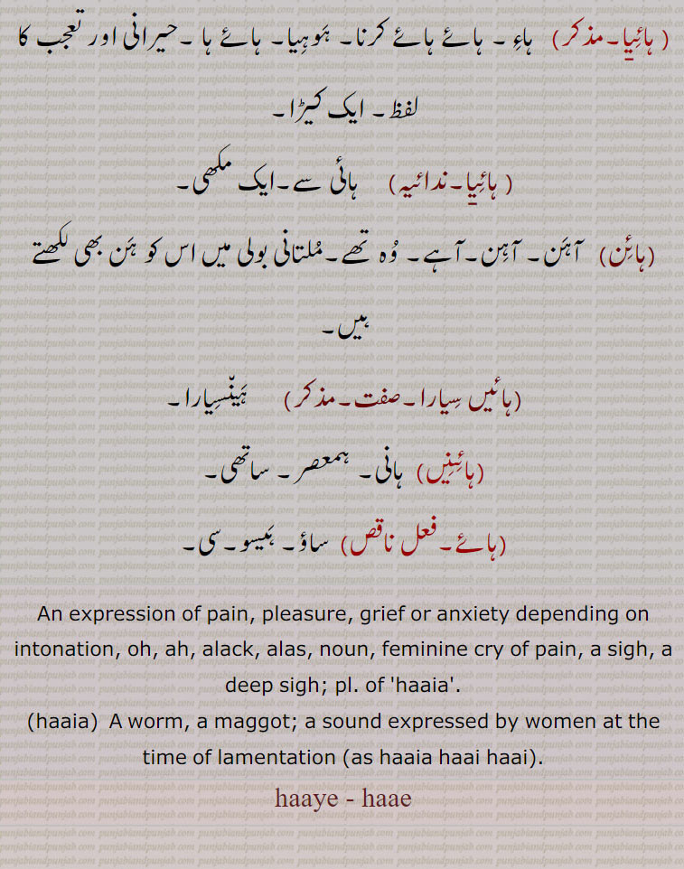   ہاء, ہائے, برلاپ, افسوس یا درد کی آواز,ہاء دُہائی,ہائے ربا,فریاد, افسوس,ہائے نِکل جانا,ہاء ہاء, واویلا,اء ہاء کرنا,ہائے ہا,ہائے اوئے,ہائیا,ہائن, آہن, آہن,آہے,ہن,ہائیں سیارا,ہائنیں,,haae,  sigh, haaia,ہائے,haaye - haae  , ਹਾਏ, haaia,haaia,ਹਾਇਆ,  