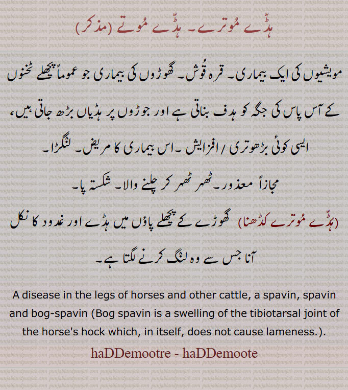  ہڈے موترے, ہڈےہڈے مُوترے, ہڈے موتے, مویشیوں کی بیماری, قرہ قوش, گھوڑوں کی بیماری ٹخنوں کے آس پاس, جوڑوں پرہڈی بڑھ جانا, لنگڑا, معذور, شکستہ پا, ٹھہر کر چلنے والا,ہڈے معترے کڈھنا,  جانور کے غدود نکل آنا, لنگ مارنا جانور کا, haddemutre,haddemootre,ਹੱਡੇਮੂਤ੍ਰੇ, ,A disease in the legs of horses and other cattle, a spavin, spavin and bog-spavin, ہڈے موترے, ਹੱਡੇਮੂਤਰੇ ,ਹੱਡੇਮੂਤੇ, 