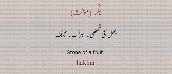   ہکر ,hakkar,ਹੱਕਰ,stone of a fruit. hakkarپھل کی گٹھلی۔ ہڑک۔ گٹک۔ ہکاڑا,