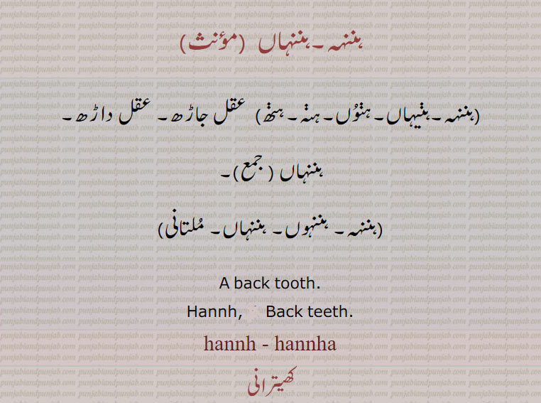   hannh، hannha, ਹੱਣ੍ਹ,back teeth , عقل داڑھ, ،ہننہہ,ہننہاں,ہننہہ,ہنیہاں,ہنوں۔ہنہ,ہنھ, 