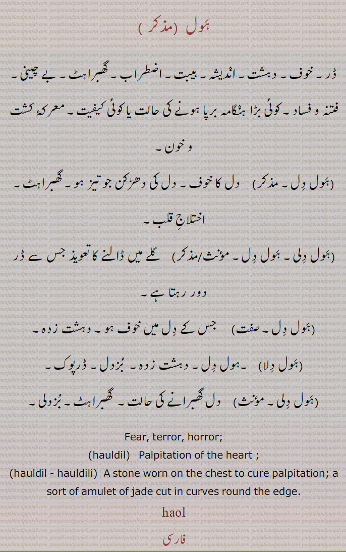  ہول,ہول دل,ਹੌਲ, haul, hauldili,حول,Traditional Ornaments of Punjab, Jewellery, jewelry, zaiwar,زیور, گہنا, بُھوکھن, النکار, ٹُوم, ٹومب, ٹونب چھلا,  