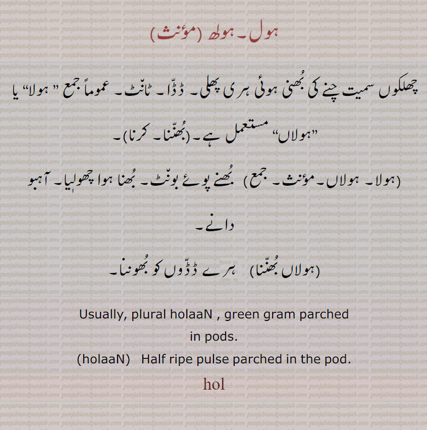  ہول,ہولھ,چھلکوں سمیت چنے کی بُھنی ہوئی ہری پھلی، ڈڈّا، ٹان٘ٹ،,ہولا, ”ہولاں, ہول بُھنّنا,ہول کرنا,ہولا, ہولاں,   بُھنے پوئے بون٘ٹ، بُھنا ہوا چھولٖیا، آہبو دانے،,ہولاں بُھنّنا,  ہورے ڈڈّوں کو بُھوننا، Usually, plural holaaN , green gram parched in pods. holaaN ,Half ripe pulse parched in the pod.,hol, ਹੋਲ੍ਹਾਂ, ਹੋਲਾਂ, ਹੋਲ੍ਹ , holaaN,ہول,ہولھ 