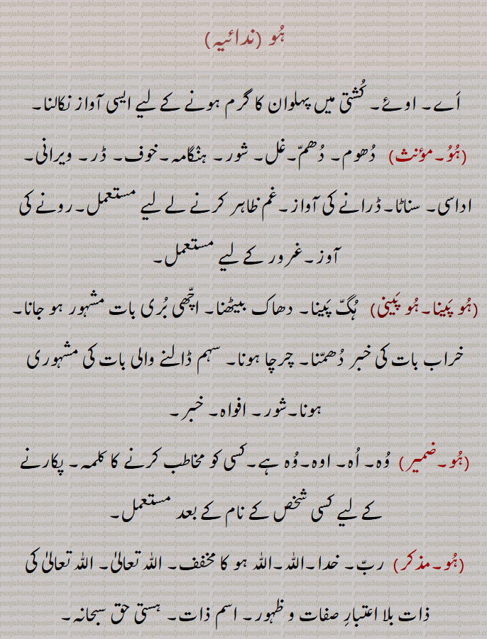  ہو ,ہو پینا,ہو پینی,ہگ پینا, دھاک بیٹھنا,شور, افواہ, خبر, وہ, اہ, اوہ,رب, خدا,اللّٰہ,ہو حق,صوفیوں، مستوں اور ملنگوں کا ایک نعرہ,ہو حق آکھنا,hoo,  ਹੂ,God, fame,hoo peni,hoo pena,ਹੂ ਪੈਣੀ ,To become famous,ہو,hoo,ਹੂ,, 