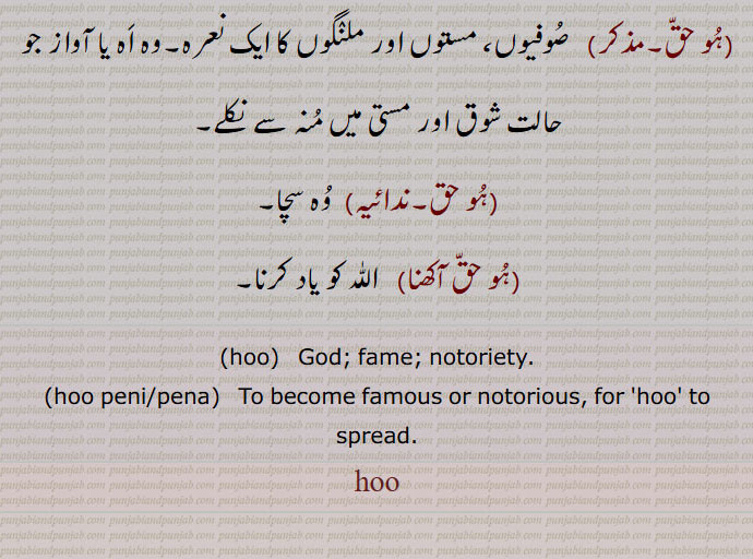  ہو ,ہو پینا,ہو پینی,ہگ پینا, دھاک بیٹھنا,شور, افواہ, خبر, وہ, اہ, اوہ,رب, خدا,اللّٰہ,ہو حق,صوفیوں، مستوں اور ملنگوں کا ایک نعرہ,ہو حق آکھنا,hoo,  ਹੂ,God, fame,hoo peni,hoo pena,ਹੂ ਪੈਣੀ ,To become famous,ہو,hoo,ਹੂ,, 