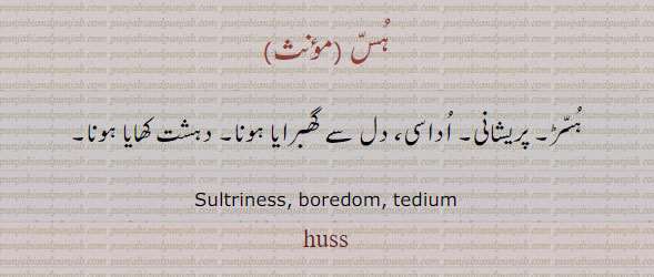 3-huss,tedium,ਹੁੱਸ,ہس,ہسڑ,دہست لھایا ہویا