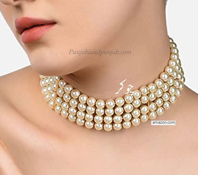 chokar, chokur, chokhar,  chokar, chokur, chokhar, ਚੋਕੁਰ,ਚੋਕਰ, چوکر, چوکُر, چوکھر  ,