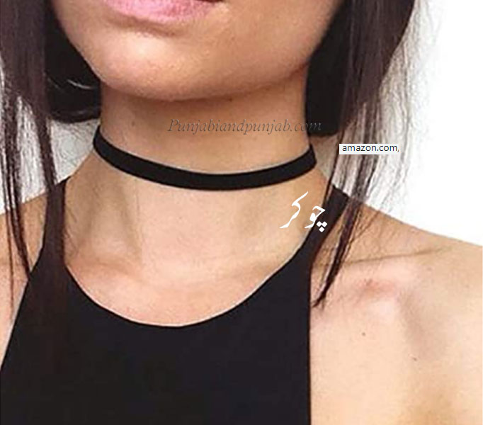 chokar, chokur, chokhar,  chokar, chokur, chokhar, ਚੋਕੁਰ,ਚੋਕਰ, چوکر, چوکُر, چوکھر  ,