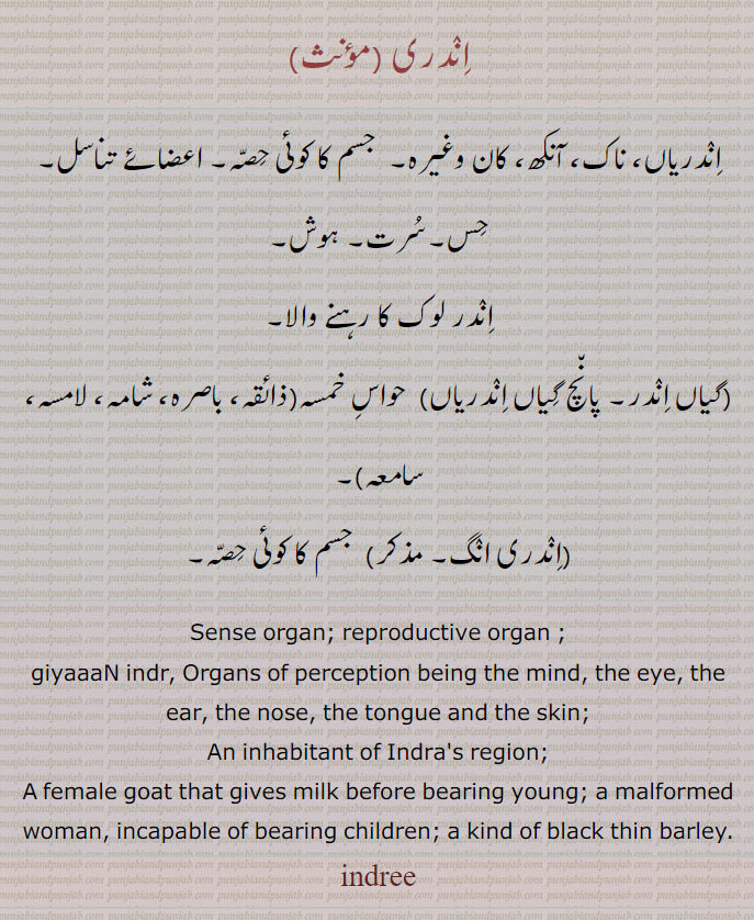   اندری,اندریاں,ناک, آنکھ، کان وغیرہ,  جسم کا کوئی حصہ, اعضائے تناسل,حس,سرت, ہوش, اندر لوک کا رہنے والا,گیاں اندر, پانچ گیاں اندریاں,  حواس خمسہ,اندری انگ, جسم کا کوئی حصہ, , Sense organ; reproductive organ ; giyaaaN indr, Organs of perception being the mind, the eye, the ear, the nose, the tongue and the skin; An inhabitant of Indra's region; A female goat that gives milk before bearing young; a  malformed woman, incapable of bearing children; a kind of black thin barley. indree, sense,ਇੰਦਰੀ, 