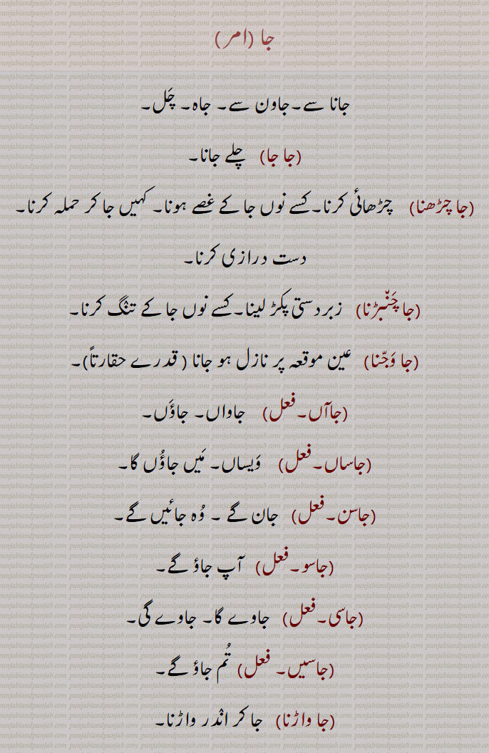   جا, جاہ, چل,جا جا,   چلے جانا,جا چڑھنا,جا چِنبڑنا,جا وجن,جاآں,جاساں,جاسن,جاسو,جاسی,جاسیں,جا واڑنا,جاوڑنا,جان,جان دی کرنا,جان, جانا, گمن , ترنا, چلنا,جان دے,جان دینا,جان سار,جان لگ,جان ہار,جان ہارا,جان ہارا,  جان سار, مرحوم,جانا, وِداع ہونا, چلا جانا, ایک جگہ سے دوسری جگہ کی طرف چلنا,جاند,جاندا,جاندڑ,جاندو,جاندو,جاندو,عورتوں کی ایک گالی,جاتی دفعہ,جاندی واری,جاندے جاندے,جاندیاں جاندیاں,جاندیا سات, جاندیا سار,جانواں,جانویں,جانی,جانے,جانیاں,جاون یار,جاونا,جاوے,جاویں,جائے,جاؤنا,جائیا,جایا,جائیا جانا,جایا کر,جایا کردا,جا اپڑنا,جا اترنا,جا پھدھن,جا پھسنا,جا ٹھہرنا,جا چکنا, چلا گیا ہونا, ٹرجانا,jana, go,jaana, go away, to depart, to leave, to reach, to attain to; to disappear, to vanish,jaaya, ਜਾਇਆ,jaaya kar,  ਜਾਇਆ ਕਰ,jaaya karda, ਜਾਇਆ ਕਰਦਾ,to go,jaaye, ਜਾਏ,جا  , ja, ਜਾ, 