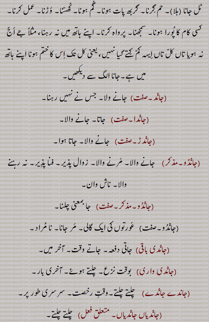   جا, جاہ, چل,جا جا,   چلے جانا,جا چڑھنا,جا چِنبڑنا,جا وجن,جاآں,جاساں,جاسن,جاسو,جاسی,جاسیں,جا واڑنا,جاوڑنا,جان,جان دی کرنا,جان, جانا, گمن , ترنا, چلنا,جان دے,جان دینا,جان سار,جان لگ,جان ہار,جان ہارا,جان ہارا,  جان سار, مرحوم,جانا, وِداع ہونا, چلا جانا, ایک جگہ سے دوسری جگہ کی طرف چلنا,جاند,جاندا,جاندڑ,جاندو,جاندو,جاندو,عورتوں کی ایک گالی,جاتی دفعہ,جاندی واری,جاندے جاندے,جاندیاں جاندیاں,جاندیا سات, جاندیا سار,جانواں,جانویں,جانی,جانے,جانیاں,جاون یار,جاونا,جاوے,جاویں,جائے,جاؤنا,جائیا,جایا,جائیا جانا,جایا کر,جایا کردا,جا اپڑنا,جا اترنا,جا پھدھن,جا پھسنا,جا ٹھہرنا,جا چکنا, چلا گیا ہونا, ٹرجانا,jana, go,jaana, go away, to depart, to leave, to reach, to attain to; to disappear, to vanish,jaaya, ਜਾਇਆ,jaaya kar,  ਜਾਇਆ ਕਰ,jaaya karda, ਜਾਇਆ ਕਰਦਾ,to go,jaaye, ਜਾਏ,جا  , ja, ਜਾ, 