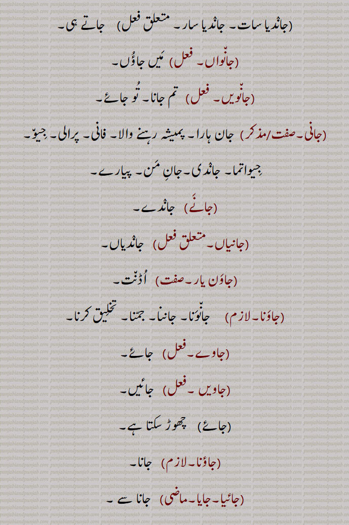   جا, جاہ, چل,جا جا,   چلے جانا,جا چڑھنا,جا چِنبڑنا,جا وجن,جاآں,جاساں,جاسن,جاسو,جاسی,جاسیں,جا واڑنا,جاوڑنا,جان,جان دی کرنا,جان, جانا, گمن , ترنا, چلنا,جان دے,جان دینا,جان سار,جان لگ,جان ہار,جان ہارا,جان ہارا,  جان سار, مرحوم,جانا, وِداع ہونا, چلا جانا, ایک جگہ سے دوسری جگہ کی طرف چلنا,جاند,جاندا,جاندڑ,جاندو,جاندو,جاندو,عورتوں کی ایک گالی,جاتی دفعہ,جاندی واری,جاندے جاندے,جاندیاں جاندیاں,جاندیا سات, جاندیا سار,جانواں,جانویں,جانی,جانے,جانیاں,جاون یار,جاونا,جاوے,جاویں,جائے,جاؤنا,جائیا,جایا,جائیا جانا,جایا کر,جایا کردا,جا اپڑنا,جا اترنا,جا پھدھن,جا پھسنا,جا ٹھہرنا,جا چکنا, چلا گیا ہونا, ٹرجانا,jana, go,jaana, go away, to depart, to leave, to reach, to attain to; to disappear, to vanish,jaaya, ਜਾਇਆ,jaaya kar,  ਜਾਇਆ ਕਰ,jaaya karda, ਜਾਇਆ ਕਰਦਾ,to go,jaaye, ਜਾਏ,جا  , ja, ਜਾ, 