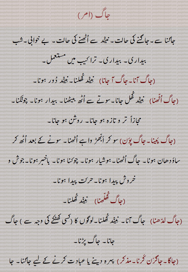   جاگ ,jaag,ਜਾਗ , جاگ , جاگنا سے,جاگنے کی حالت, بے خوابی, بیداری, جاگ آنا,جاگ آ جانا , جاگ اٹھنا    ,جاگ پینا,جاگ پون, جاگ کھلھنا, جاگ لدھنا,  , جاگا,جاگرن کرنا, جاگت جوت,جاگا جاگت, جاگدا, جاگدی جوت, جاگدیاں نوں پواندی پانا, جاگدے نوں جگانا, جاگندے,,  جاگر, جاگرا, جاگرت,جاگرتا, جاگرتی, جاگو, جاگن, جاگنا, جاگ گان, جاگو میٹی,جاگومیچی,جاگو میٹا,, ,جاگو موٹا, جاگین, جاگیوں, جمن, جامن,  جاگ لانا,جاگ لاؤنا, جاگ لگنا, جاگ پتی, جگ, جاگنا, جاگو, جاگاہ, جاہگاہ,,  jaag,Wakefulness, awakening; figurative usage alertness, vigil; verb imperative form of 'jaagna', wake up; an acid substance or sour milk put into milk to coagulate it,  rennet, rennin, coagulant, jaag launi, jaagdi jot, jaag auni, jaagda jaagde, jaag paina, jaana, jaagdi jot, jaagrit, jaagirti, jaag launa, jaaga, jaago, jago meeti, jaag,
ਜਾਗ,ਜਾਗਣਾ, ਜਾਗ ਆਉਣੀ ਜਾਗ ਪੈਣਾ,ਜਾਗ ਖੁਲ੍ਹਣੀ, ਜਾਗਣਾ,ਜਾਗਦੀ ਜੋਤ, ਜਾਗਰਿਤ, ਜਾਗਰੂਕਰੂ, ਜਾਗਰਿਤੀ, ਜਾਗ ਲਾਉਣਾ, ਜਾਗ, ਜਾਗਾ, ਜਗਰਾਤਾ, ਜਾਗੋ , ਜਾਗੋਮੀਟੀ ,
