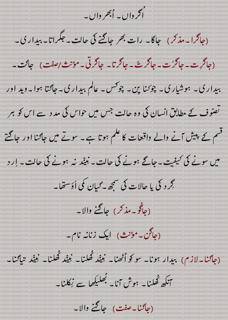   جاگ ,jaag,ਜਾਗ , جاگ , جاگنا سے,جاگنے کی حالت, بے خوابی, بیداری, جاگ آنا,جاگ آ جانا , جاگ اٹھنا    ,جاگ پینا,جاگ پون, جاگ کھلھنا, جاگ لدھنا,  , جاگا,جاگرن کرنا, جاگت جوت,جاگا جاگت, جاگدا, جاگدی جوت, جاگدیاں نوں پواندی پانا, جاگدے نوں جگانا, جاگندے,,  جاگر, جاگرا, جاگرت,جاگرتا, جاگرتی, جاگو, جاگن, جاگنا, جاگ گان, جاگو میٹی,جاگومیچی,جاگو میٹا,, ,جاگو موٹا, جاگین, جاگیوں, جمن, جامن,  جاگ لانا,جاگ لاؤنا, جاگ لگنا, جاگ پتی, جگ, جاگنا, جاگو, جاگاہ, جاہگاہ,,  jaag,Wakefulness, awakening; figurative usage alertness, vigil; verb imperative form of 'jaagna', wake up; an acid substance or sour milk put into milk to coagulate it,  rennet, rennin, coagulant, jaag launi, jaagdi jot, jaag auni, jaagda jaagde, jaag paina, jaana, jaagdi jot, jaagrit, jaagirti, jaag launa, jaaga, jaago, jago meeti, jaag,
ਜਾਗ,ਜਾਗਣਾ, ਜਾਗ ਆਉਣੀ ਜਾਗ ਪੈਣਾ,ਜਾਗ ਖੁਲ੍ਹਣੀ, ਜਾਗਣਾ,ਜਾਗਦੀ ਜੋਤ, ਜਾਗਰਿਤ, ਜਾਗਰੂਕਰੂ, ਜਾਗਰਿਤੀ, ਜਾਗ ਲਾਉਣਾ, ਜਾਗ, ਜਾਗਾ, ਜਗਰਾਤਾ, ਜਾਗੋ , ਜਾਗੋਮੀਟੀ ,