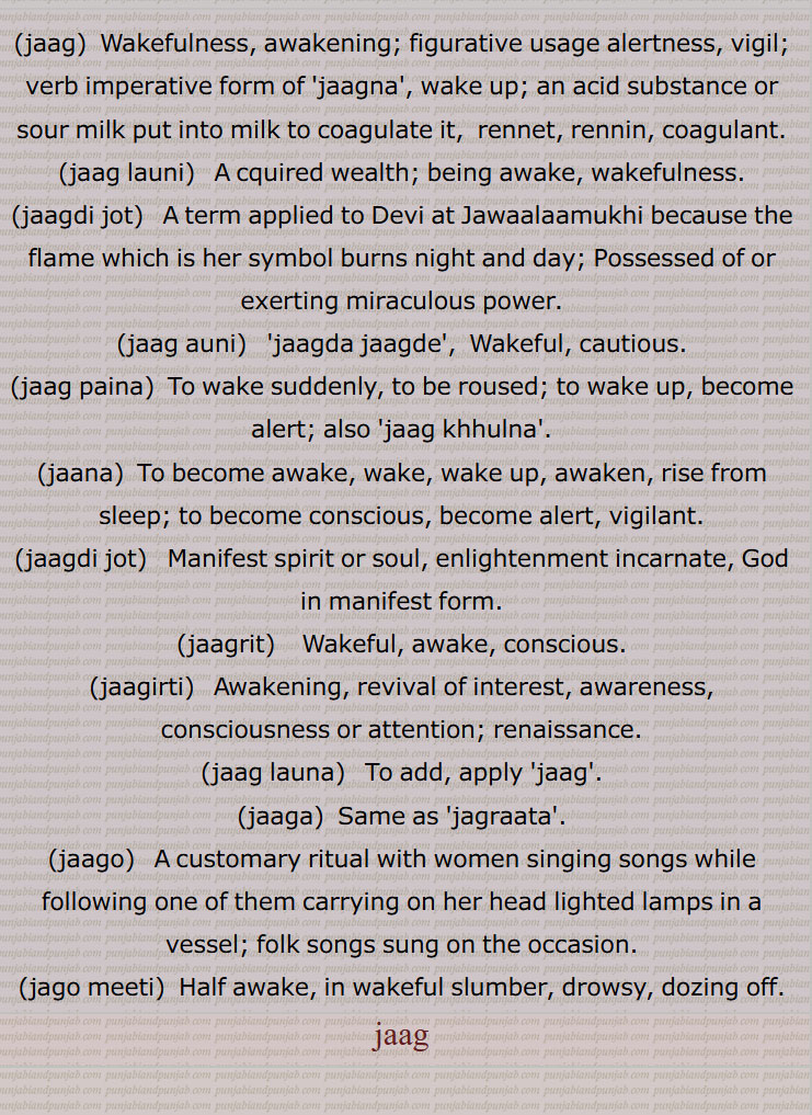   جاگ ,jaag,ਜਾਗ , جاگ , جاگنا سے,جاگنے کی حالت, بے خوابی, بیداری, جاگ آنا,جاگ آ جانا , جاگ اٹھنا    ,جاگ پینا,جاگ پون, جاگ کھلھنا, جاگ لدھنا,  , جاگا,جاگرن کرنا, جاگت جوت,جاگا جاگت, جاگدا, جاگدی جوت, جاگدیاں نوں پواندی پانا, جاگدے نوں جگانا, جاگندے,,  جاگر, جاگرا, جاگرت,جاگرتا, جاگرتی, جاگو, جاگن, جاگنا, جاگ گان, جاگو میٹی,جاگومیچی,جاگو میٹا,, ,جاگو موٹا, جاگین, جاگیوں, جمن, جامن,  جاگ لانا,جاگ لاؤنا, جاگ لگنا, جاگ پتی, جگ, جاگنا, جاگو, جاگاہ, جاہگاہ,,  jaag,Wakefulness, awakening; figurative usage alertness, vigil; verb imperative form of 'jaagna', wake up; an acid substance or sour milk put into milk to coagulate it,  rennet, rennin, coagulant, jaag launi, jaagdi jot, jaag auni, jaagda jaagde, jaag paina, jaana, jaagdi jot, jaagrit, jaagirti, jaag launa, jaaga, jaago, jago meeti, jaag,
ਜਾਗ,ਜਾਗਣਾ, ਜਾਗ ਆਉਣੀ ਜਾਗ ਪੈਣਾ,ਜਾਗ ਖੁਲ੍ਹਣੀ, ਜਾਗਣਾ,ਜਾਗਦੀ ਜੋਤ, ਜਾਗਰਿਤ, ਜਾਗਰੂਕਰੂ, ਜਾਗਰਿਤੀ, ਜਾਗ ਲਾਉਣਾ, ਜਾਗ, ਜਾਗਾ, ਜਗਰਾਤਾ, ਜਾਗੋ , ਜਾਗੋਮੀਟੀ ,