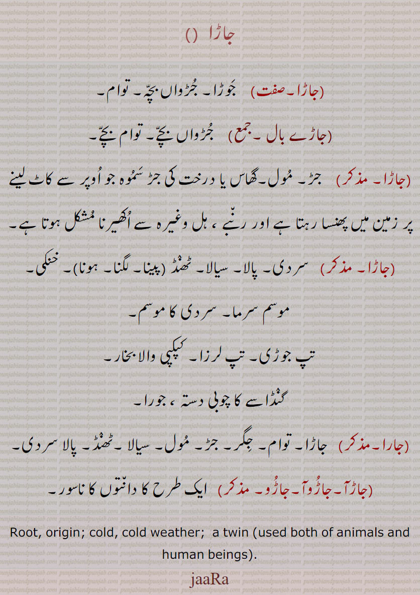    ,جاڑا ,جاڑے بال , جارا,  جاڑآ,جاڑوآ,جاڑو ,jaaRa  ,ਜਾਡ਼ਾ, root, cold weather, twin ,دانتوں کا ناسور۔ جڑ۔ سیالا پالا۔ گنڈاسے کا چوبی دستہ۔ کپکپی کا بار۔ سردی کا موسم۔ خنکیجڑواں بچہ۔ توام 