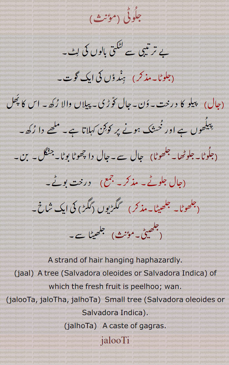   جلوٹی, jalooti , ਜਲੂਟੀ, jaal,  ਜਾਲ ,jaal,  ਜਾਲ ,jaloota, jalotha, jalhota, جلوٹا,جال,جلوٹا,جلوٹھا,جلھوٹا,جال جلوٹے,جلھیٹا, جلھیٹی,  