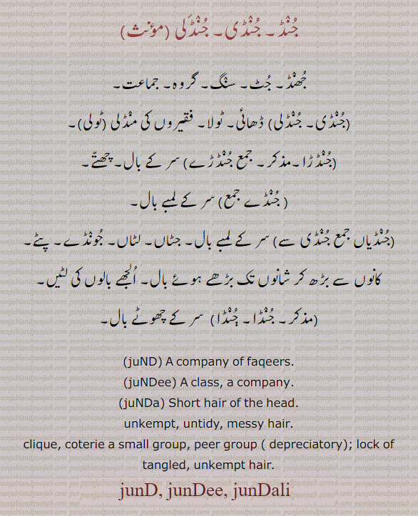 .juND, ਜੁੰਡ, juNDee, ਜੁੰਡੀ, juND ਜੁੰਡ, JUND. JUNDA. COMPANY, HAIR, GROUP, UNKEMPT HAIR.  جھنڈ, جٹ, سنگ, گروہ, جماعت, جنڈلی, ڈھائی, ٹولا, جنڈڑا, جنڈڑے, چھتے , سر کے بال, جنڈے, لمبے بال, جنڈیاں , جنڈِ, جٹاں, لٹاں, جونڈے, پٹے, جنڈا, چھوٹے بال,