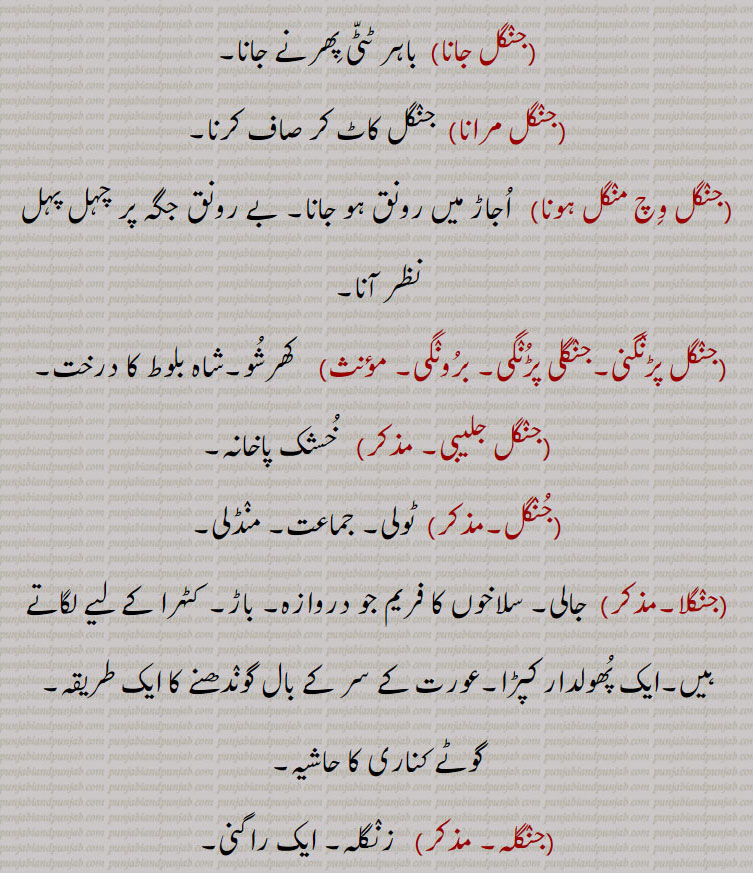  , جنگل,جنگل پانی,جنگل پانی جا آنا/ ہو آنا,جنگل جانا,جنگل مرانا,جنگل وِچ منگل ہونا,جنگل پڑنگنی,جنگلی پڑنگی, برونگی,جنگل جلیبی,جنگل,جنگلا,جنگلہ,  jaNgal, ਜੰਗਲ, ਜੰਗਲ਼,  forest. s wood. jungle. jangal jaana jangal wich mangal hona. jungle paani. jungle bahna. jungla. jangal parngani. junglaat.