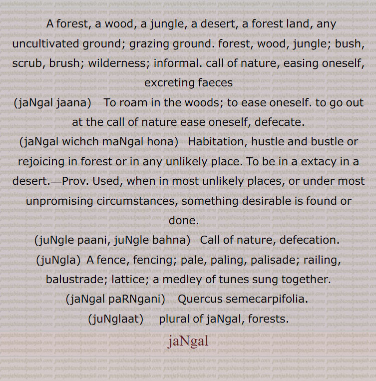  , جنگل,جنگل پانی,جنگل پانی جا آنا/ ہو آنا,جنگل جانا,جنگل مرانا,جنگل وِچ منگل ہونا,جنگل پڑنگنی,جنگلی پڑنگی, برونگی,جنگل جلیبی,جنگل,جنگلا,جنگلہ,  jaNgal, ਜੰਗਲ, ਜੰਗਲ਼,  forest. s wood. jungle. jangal jaana jangal wich mangal hona. jungle paani. jungle bahna. jungla. jangal parngani. junglaat.