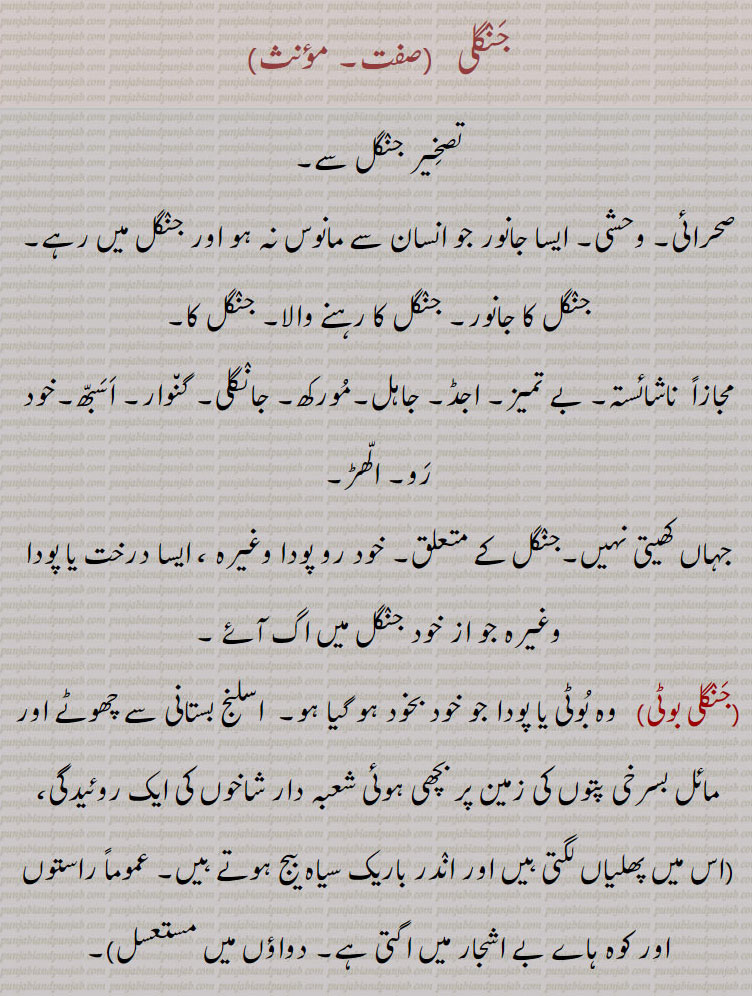   جنگلی ,,جنگل,جنگلی بوٹی,جنگلی انناس,جنگلی اخروٹ,جنگلی ادرک,جنگلی بدام,جنگلی بِلا,جنگلی بِلی,جنگلی بِنڈا,جنگل پڑنگنی,جنگلی پڑُنگی, برونگی,کھرشو,شاہ بلوط,جنگلی بید,جنگلی بیر,جنگلی پالک,جنگلی بیلی,جنگلی پِیلی,جنگلی بھینسا,جنگلی پکون,جنگلی پِیاز,جنگلی تلسی,جنگلی تماکو,جنگلی چنپا,جنگلی چنا,جنگلی چپھینڈ,,جنگلی چوہا,جنگلی چوکا,جنگلی دریاں,جنگلی ذات,جنگلی رس بھری,جنگلی سامک,جنگلی سرسوں,جنگلی سرن,جنگلی سن کوکرا, ککڑا,جنگلی سرو,جنگلی سور,جنگلی فرست,جنگلی کاں,جنگلی کبوت,جنگلی کبود,جنگلی کتس,جنگلی گوہا۔جنگلی کنڈَہ,جنگلی لہسن,جنگلی گھوڑا,جنگلی گاجر,جنگلی گلاب,جنگلی مانہ,جنگلی مولی,جنگلی مہندی،,جنگلی میتھی,جنگلی مرغ,جنگلیانی
, jaNgali, ਜੰਗਲੀ, ਜੰਗਲ਼ੀ, ਜਾਂਗਲ਼ੀ, jaNgali badaam, Terminalia catappa, jaNgali binDa, Hibiscus,jaNgal paRNgani, Quercus semecarpifolia, jaNgali gulaab, ਜੰਗਲ਼ੀ ਗੁਲਾਬ, jaNgali jaanwar, ਜੰਗਲ਼ੀ ਜਾਨਵਰ ,jaNgali batakh, ਜੰਗਲ਼ੀ ਬਤਖ਼, jaNgali booti, ਜੰਗਲ਼ੀ ਬੂਟੀ , Herb,weed, jaNgali goRa, Onager, Equus hemionus, hemione, Asiatic wild ass, jaNgali piyaaz, Erythronuim indicum, jaNgali pakoon, Hemidesmus Indicus, Indian sarsaparilla, jaNgali chaNba, Plumeria alba, jaNgali chooka, Oxalis acetosella,jaNgali duriyaaN, Cullenia ecelsa, jaNgali saroo, Ailanthus excelsa,jaNgali kaaN, Corvus cluminatus, Indian jungle crow, jaNgali kabood,Othis sarda, jaNgali murgh, Eurasian woodcock, Scolopax rusticola, jaNgali chhapeNd, Trichosanthes cucumerina, jaNgali gajar, chaerophyllum villosum, jaNgali moli, Plume nicracifolia, jaNgali mehNdi, Ammannia baccifera, jaNgali methi, Sida spinosa, prickly fanpetals,, 